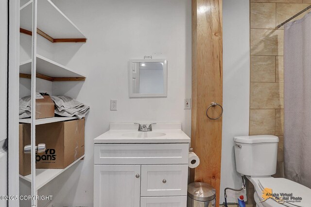 8825 W Mcquire Ln, Wasilla, AK 99623 - bathroom featuring vanity and a shower with curtain