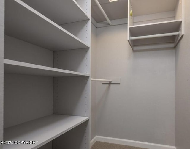 2551 La Honda Dr, Anchorage, AK 99517 - spacious closet with carpet flooring