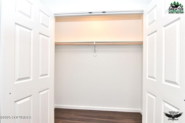 310 Park Way N, Pole, AK 99705 - view of closet