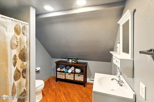 11091 Crestline Ln, Clam Gulch, AK 99568 - bathroom with vanity, toilet, wood finished floors, vaulted ceiling, and curtained shower