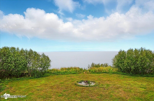11091 Crestline Ln, Clam Gulch, AK 99568 - view of grassy yard