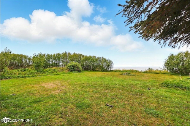 11091 Crestline Ln, Clam Gulch, AK 99568 - view of grassy yard