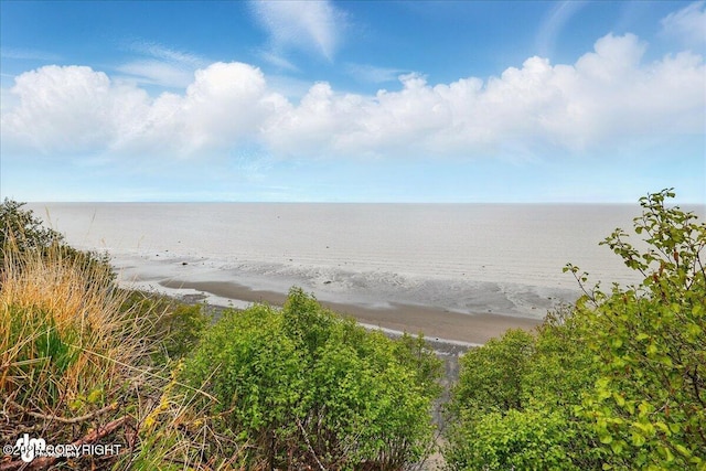 11091 Crestline Ln, Clam Gulch, AK 99568 - water view with local beach