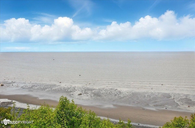 11091 Crestline Ln, Clam Gulch, AK 99568 - water view with nearby beach
