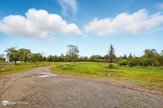 11091 Crestline Ln, Clam Gulch, AK 99568 - view of road