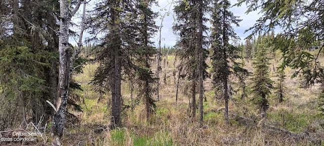 L3B2 Crooked Creek Rd, Kasilof, AK 99610