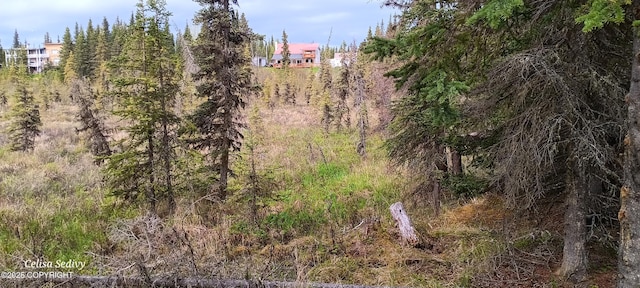 L3B2 Crooked Creek Rd, Kasilof, AK 99610