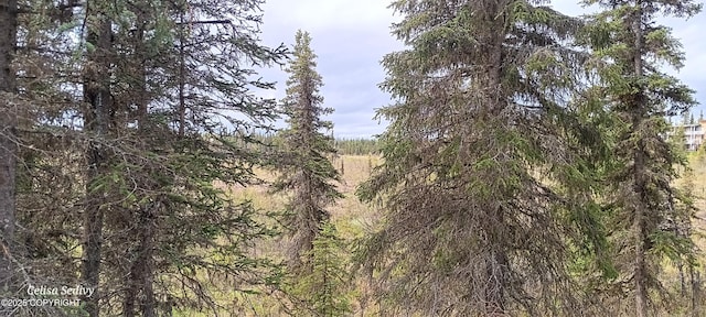 L3B2 Crooked Creek Rd, Kasilof, AK 99610