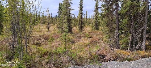 L3B2 Crooked Creek Rd, Kasilof, AK 99610