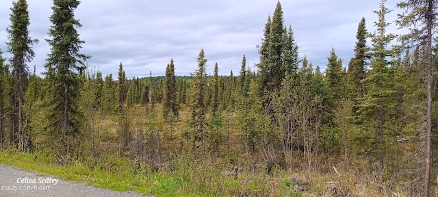 L3B2 Crooked Creek Rd, Kasilof, AK 99610