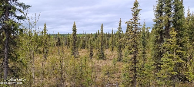 L3B2 Crooked Creek Rd, Kasilof, AK 99610