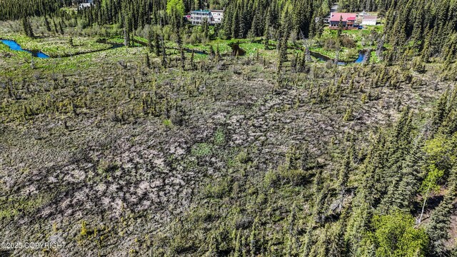 L3B2 Crooked Creek Rd, Kasilof, AK 99610