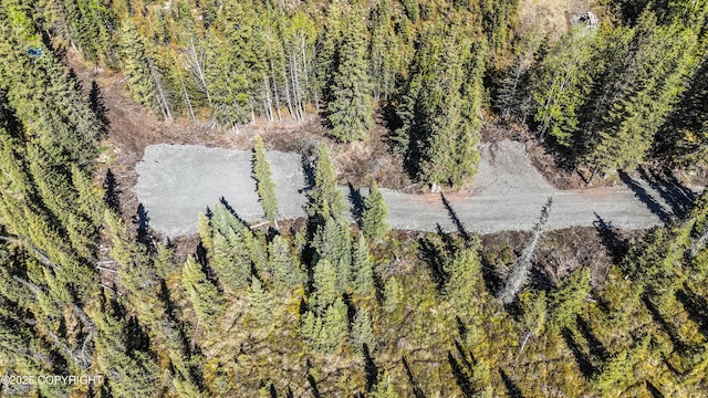 L3B2 Crooked Creek Rd, Kasilof, AK 99610