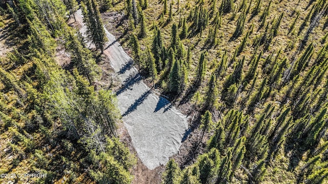 L3B2 Crooked Creek Rd, Kasilof, AK 99610