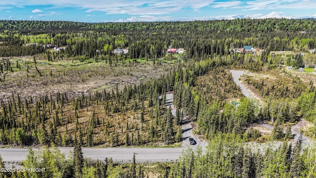 L3B2 Crooked Creek Rd, Kasilof, AK 99610