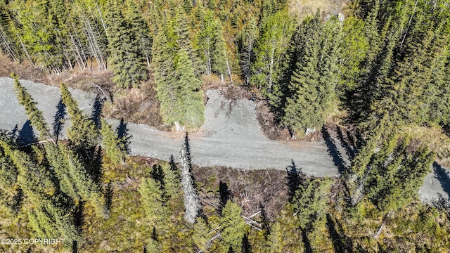 L3B2 Crooked Creek Rd, Kasilof, AK 99610