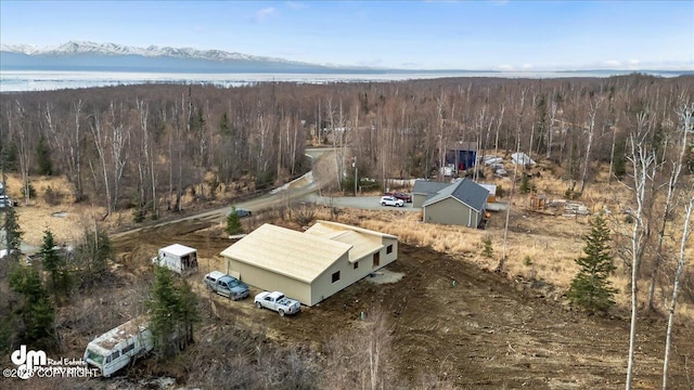 8328 S Ira Dr, Wasilla, AK 99623 - bird's eye view of a large body of water and a heavily wooded area
