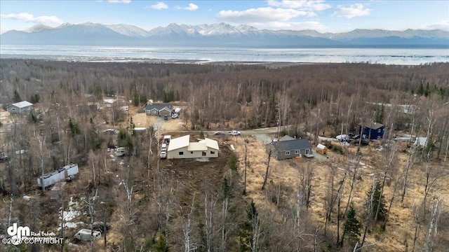 8328 S Ira Dr, Wasilla, AK 99623 - aerial overview of property's location with a heavily wooded area and a water and mountain view