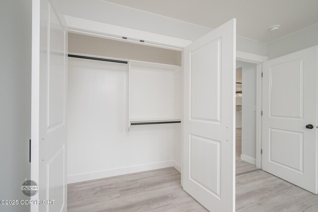 8328 S Ira Dr, Wasilla, AK 99623 - view of closet