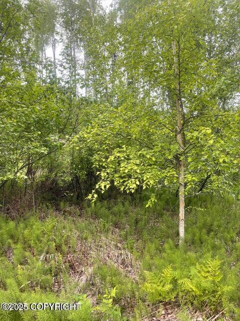 L22 Call Of The Wild Cir, Big Lake, AK 99623