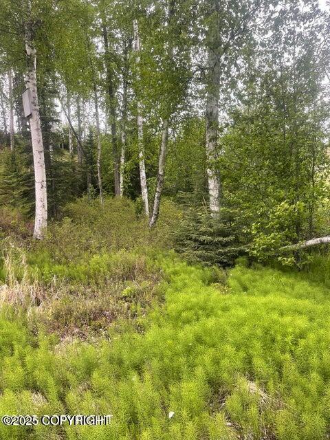 L22 Call Of The Wild Cir, Big Lake, AK 99623