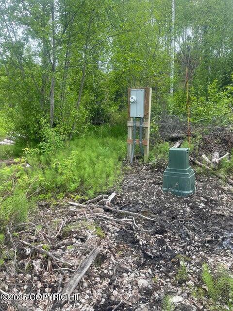 L22 Call Of The Wild Cir, Big Lake, AK 99623