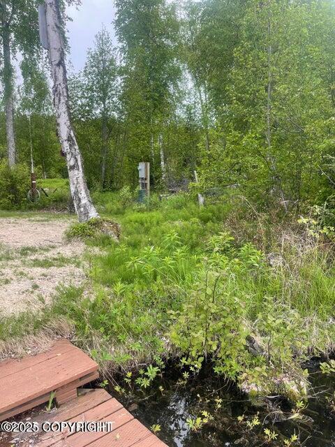 L22 Call Of The Wild Cir, Big Lake, AK 99623