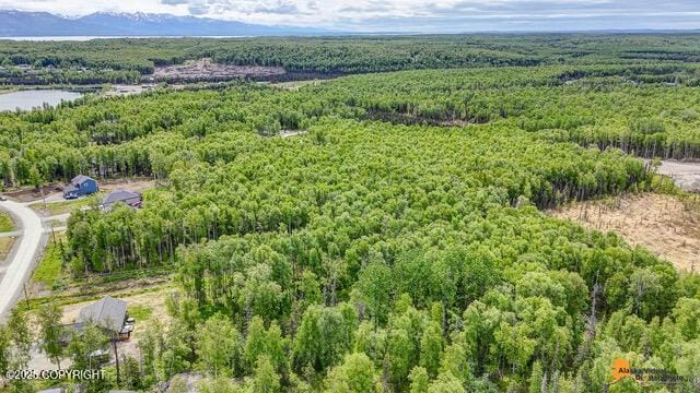 6458 W Creeksedge Dr, Wasilla, AK 99623