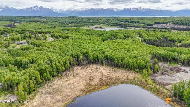 6458 W Creeksedge Dr, Wasilla, AK 99623