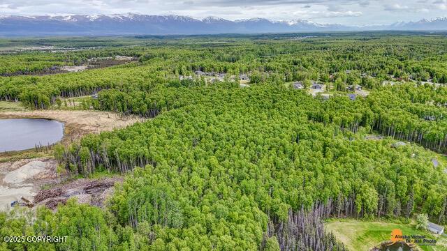 6458 W Creeksedge Dr, Wasilla, AK 99623