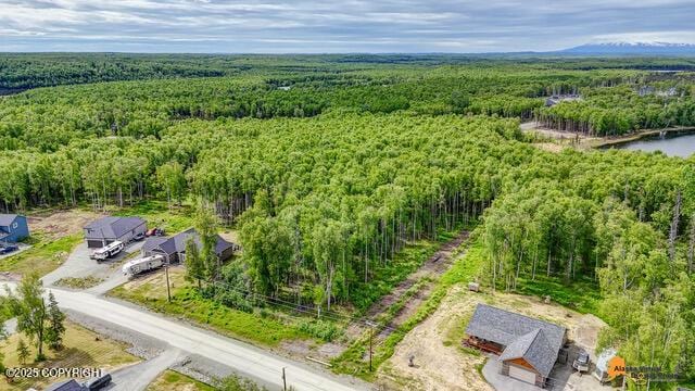 6458 W Creeksedge Dr, Wasilla, AK 99623