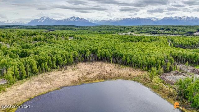 6458 W Creeksedge Dr, Wasilla, AK 99623
