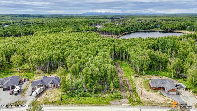6458 W Creeksedge Dr, Wasilla, AK 99623
