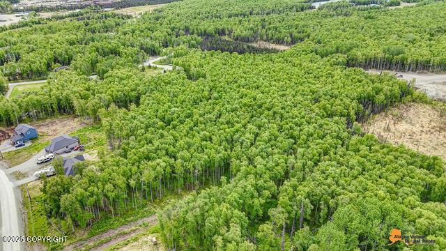 6458 W Creeksedge Dr, Wasilla, AK 99623