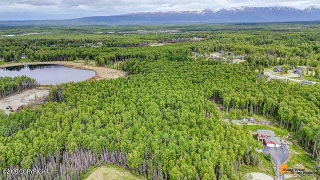 6458 W Creeksedge Dr, Wasilla, AK 99623