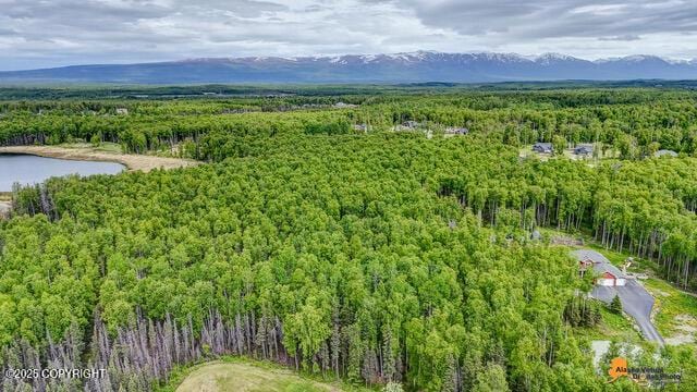 6458 W Creeksedge Dr, Wasilla, AK 99623