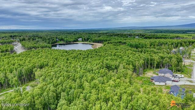 6458 W Creeksedge Dr, Wasilla, AK 99623