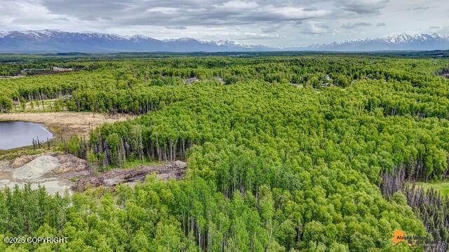 6458 W Creeksedge Dr, Wasilla, AK 99623