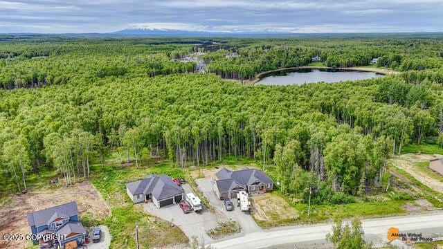 6458 W Creeksedge Dr, Wasilla, AK 99623