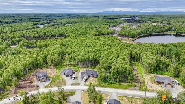 6458 W Creeksedge Dr, Wasilla, AK 99623