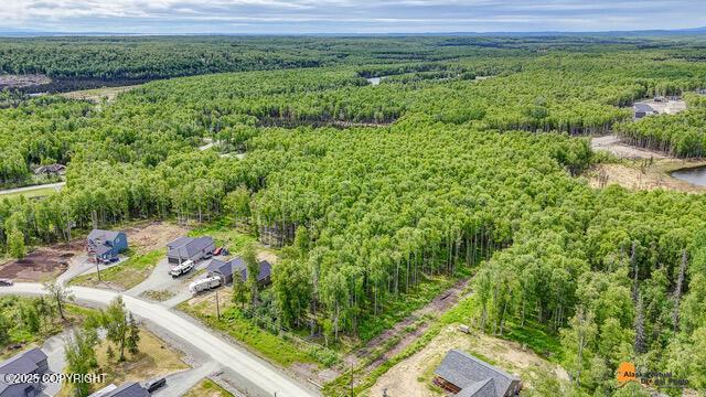 6458 W Creeksedge Dr, Wasilla, AK 99623