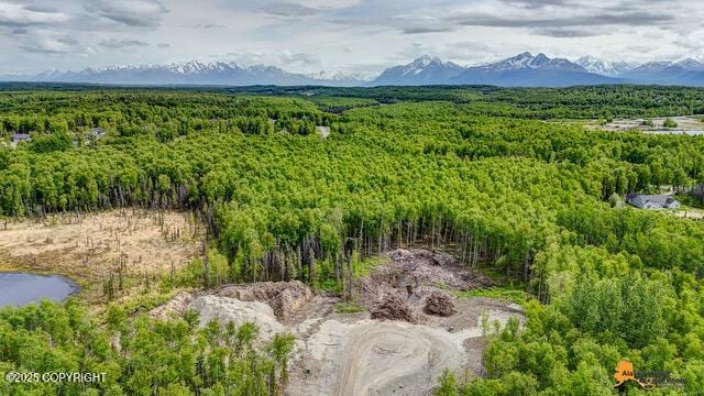 6458 W Creeksedge Dr, Wasilla, AK 99623