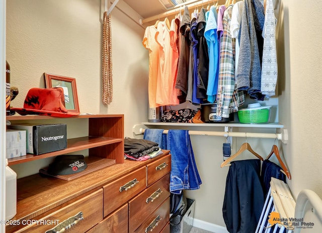 201 E Danna Ave Unit D, Wasilla, AK 99654 - view of spacious closet