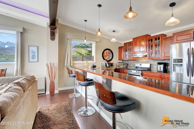 17132 Carl St, Anchorage, AK 99516 - kitchen with stainless steel appliances, under cabinet range hood, lofted ceiling, a kitchen breakfast bar, and brown cabinets