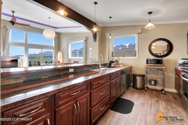 17132 Carl St, Anchorage, AK 99516 - kitchen with a sink, stainless steel appliances, light wood finished floors, ceiling fan, and baseboards