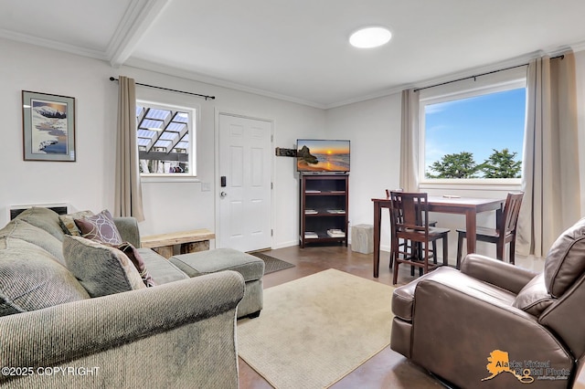 17132 Carl St, Anchorage, AK 99516 - living area with dark wood-type flooring and ornamental molding