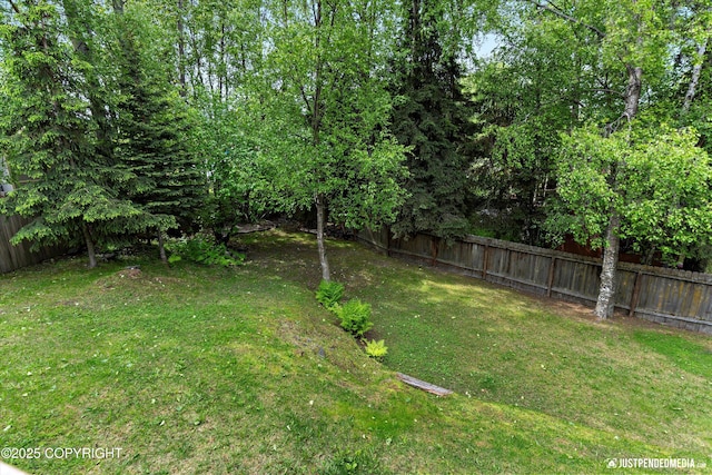 11730 Nix Ct, Anchorage, AK 99515 - view of yard