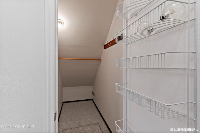 11730 Nix Ct, Anchorage, AK 99515 - spacious closet with carpet