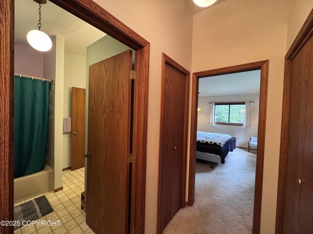 34008 Orlander Ave, Seward, AK 99664 - hallway with light carpet