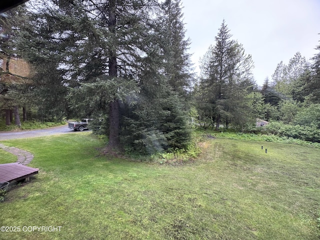 34008 Orlander Ave, Seward, AK 99664 - view of grassy yard